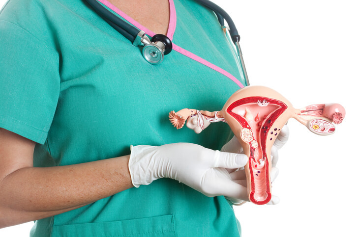 Mediķis tur anatomisku modeli, kas attēlo sieviešu reproduktīvo sistēmu. Rīgas 1. slimnīca.
