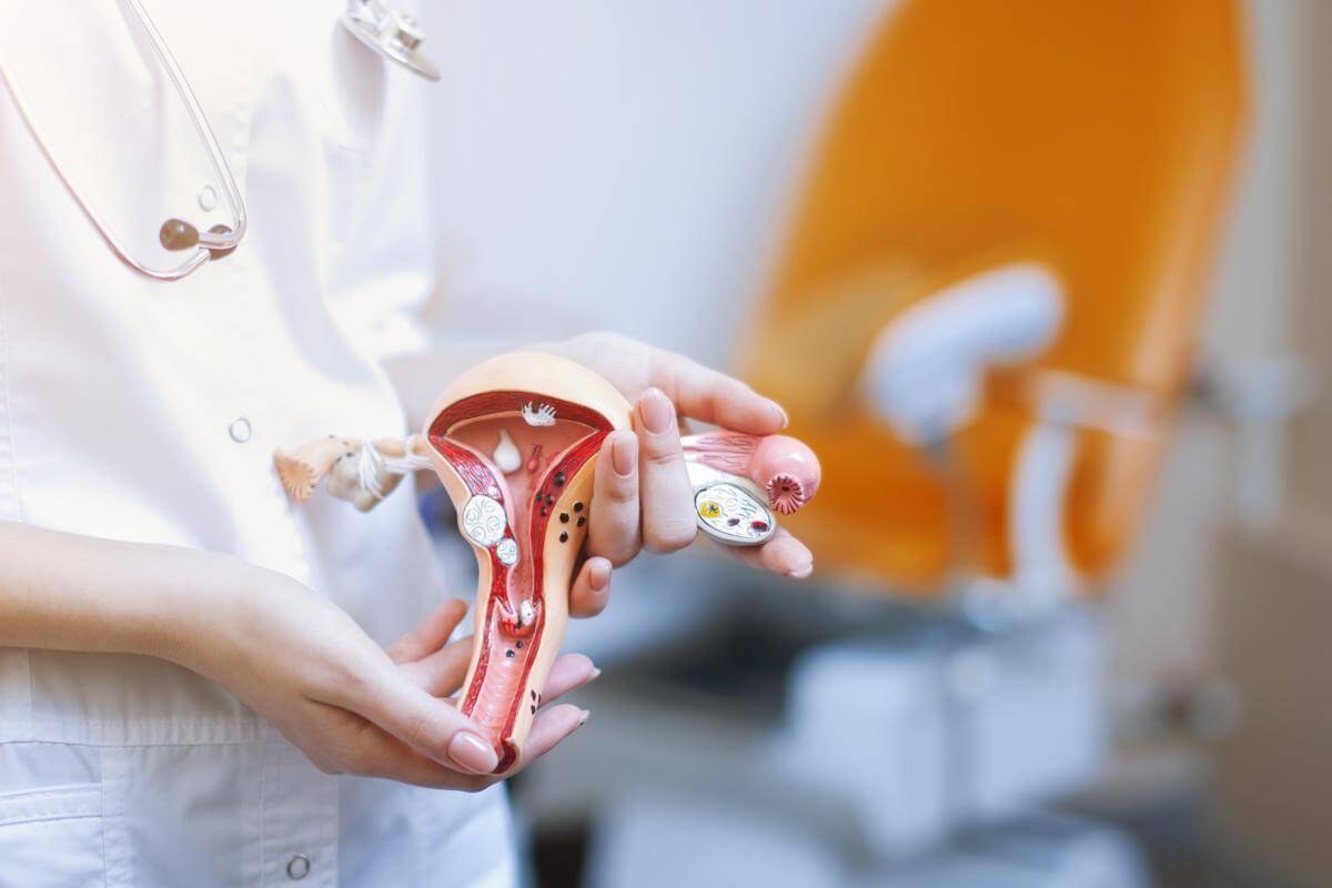 Medicīnas darbinieks tur mākslīgu dzemdi un olnīcu modeli, fons ir medicīnas kabinets.
