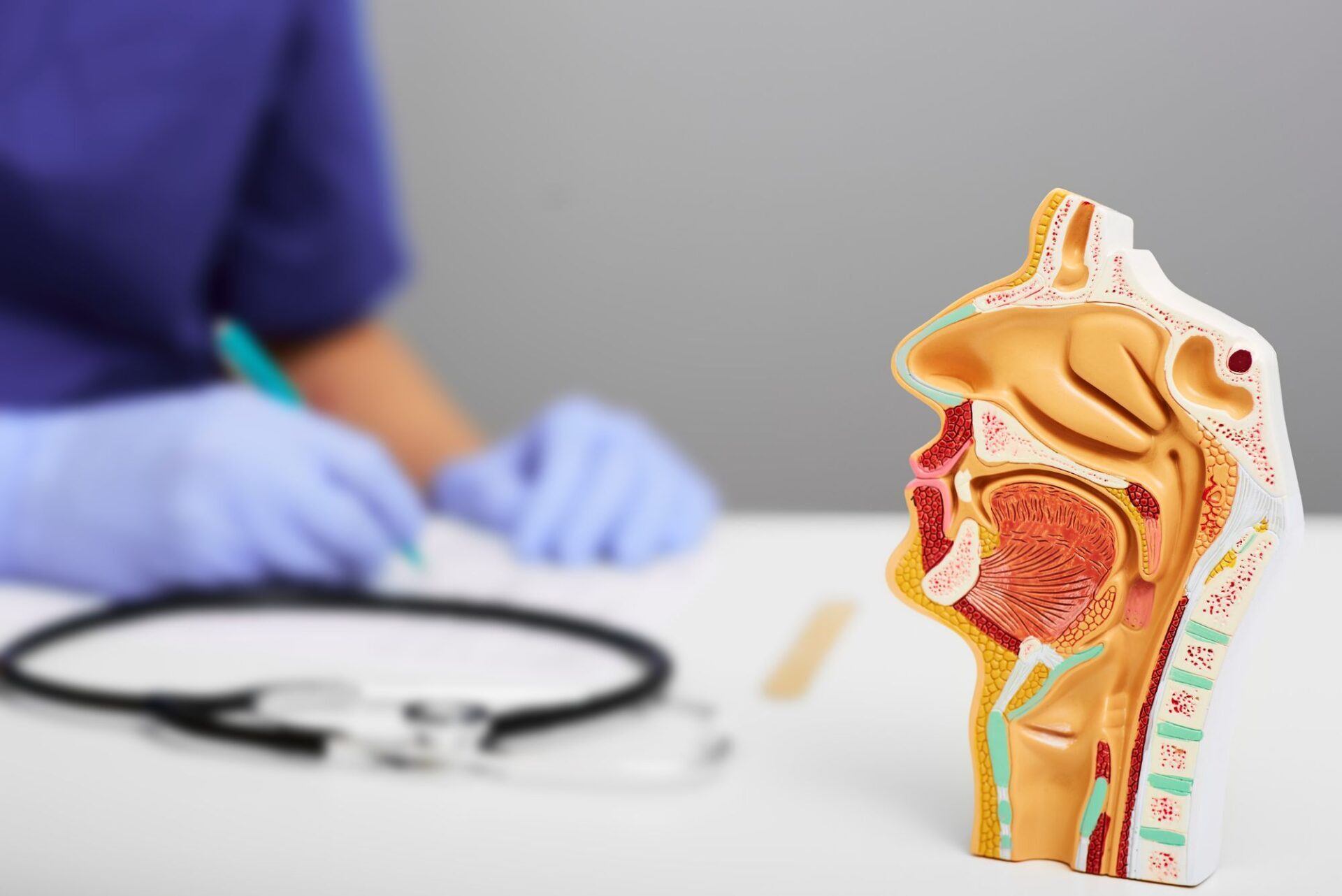 LOR ārsts izvērtē deguna un sejas apvidu – hronisks rinīts un sinusīta diagnostika