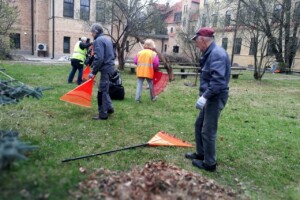 edf Brīvprātīgie Rīgas 1. slimnīcas teritorijā vāca lapas, izmantojot oranžus grābekļus un melnus maisus.