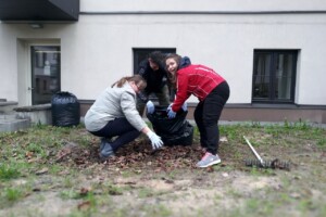 edf Trīs cilvēki sakopj lapas Rīgas 1. slimnīcas pagalmā, izmantojot melnu maisu un darba cimdus.