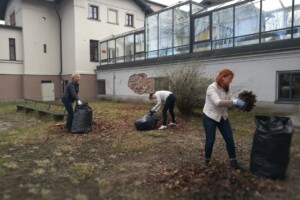 edf Trīs sievietes sakopj lapas Rīgas 1. slimnīcas pagalmā, izmantojot melnus maisus un lāpstas.