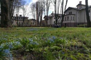 edf Rīgas 1. slimnīcas parks ar ziedošām puķēm un ēkām fona. Redzami koki un zāle.