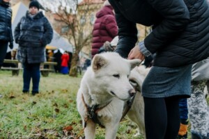 Sieviete ar brūnu mēteli un melnu biksēm, kas glāsta baltu suni, apkārt cilvēki un zāle.