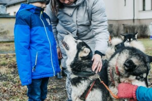 Bērns un pieaugušais satiekas ar suņiem ārā, Rīgas 1. slimnīcas teritorijā. Suņi ir pievilcīgi un draudzīgi.